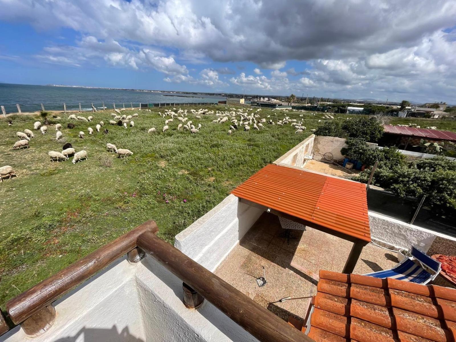 Casa Al Mare Con Splendida Vista Sul Mare Villa Petrosino Dış mekan fotoğraf