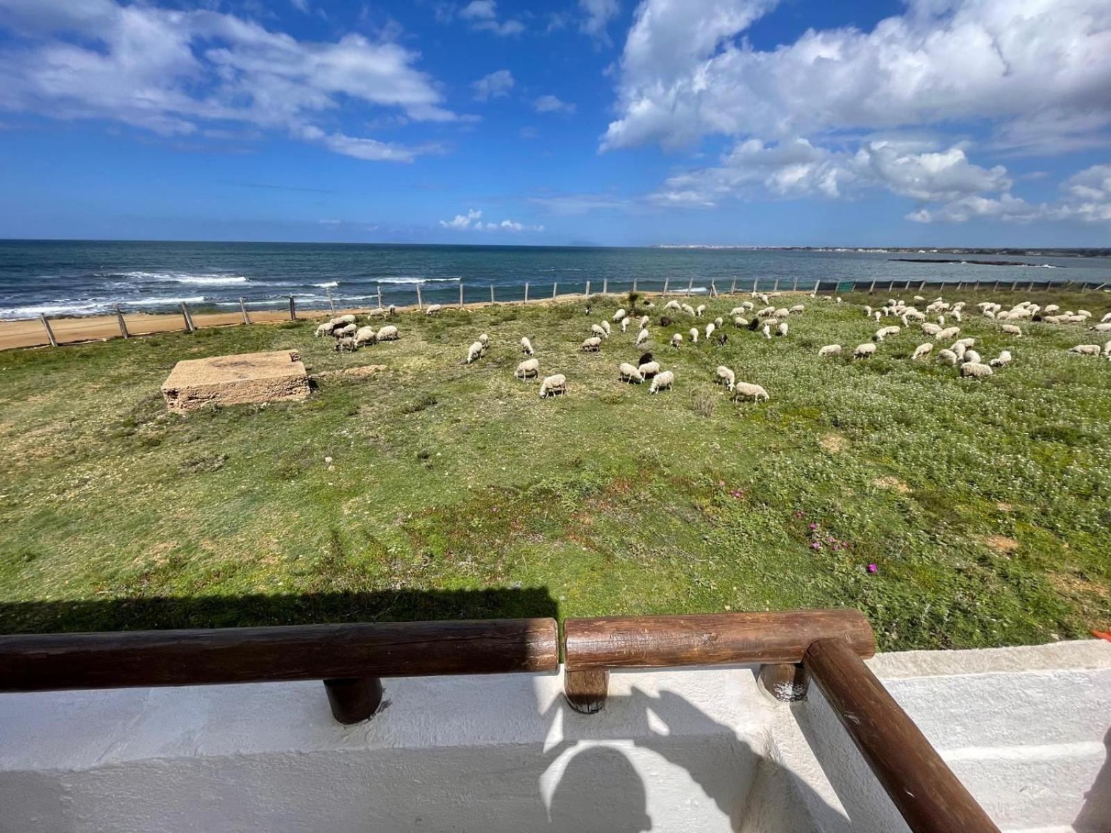 Casa Al Mare Con Splendida Vista Sul Mare Villa Petrosino Dış mekan fotoğraf